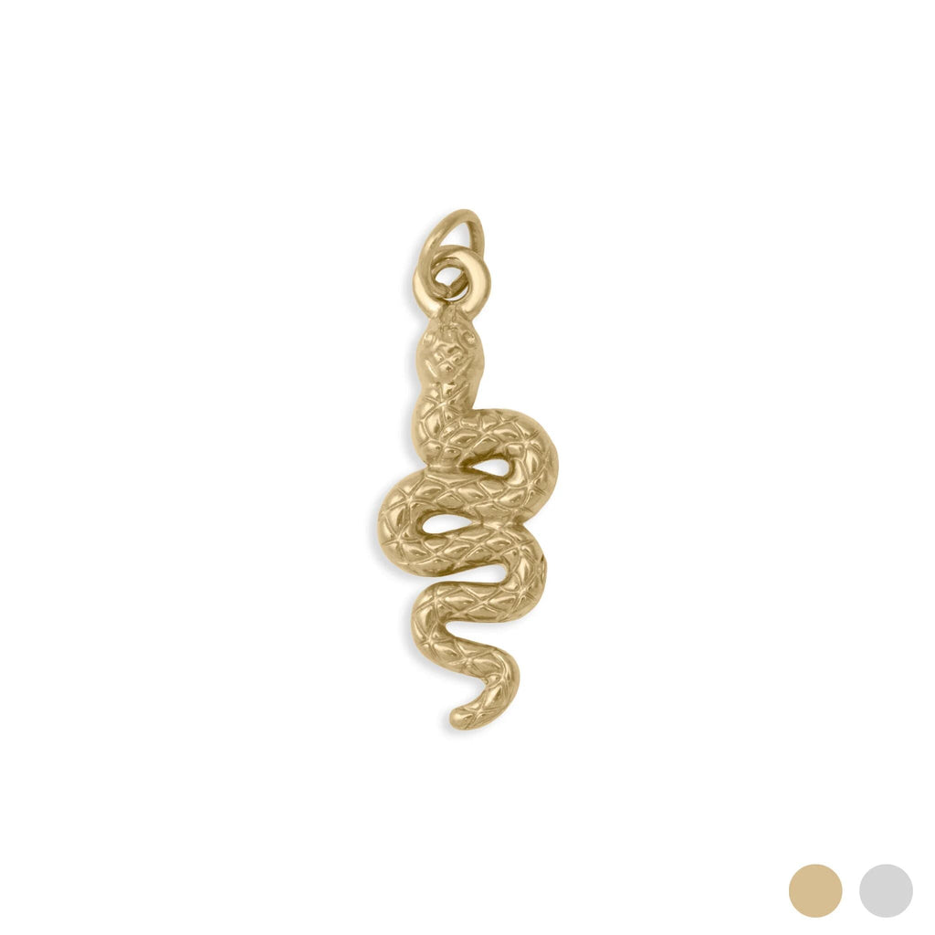 The Serpent's Secret