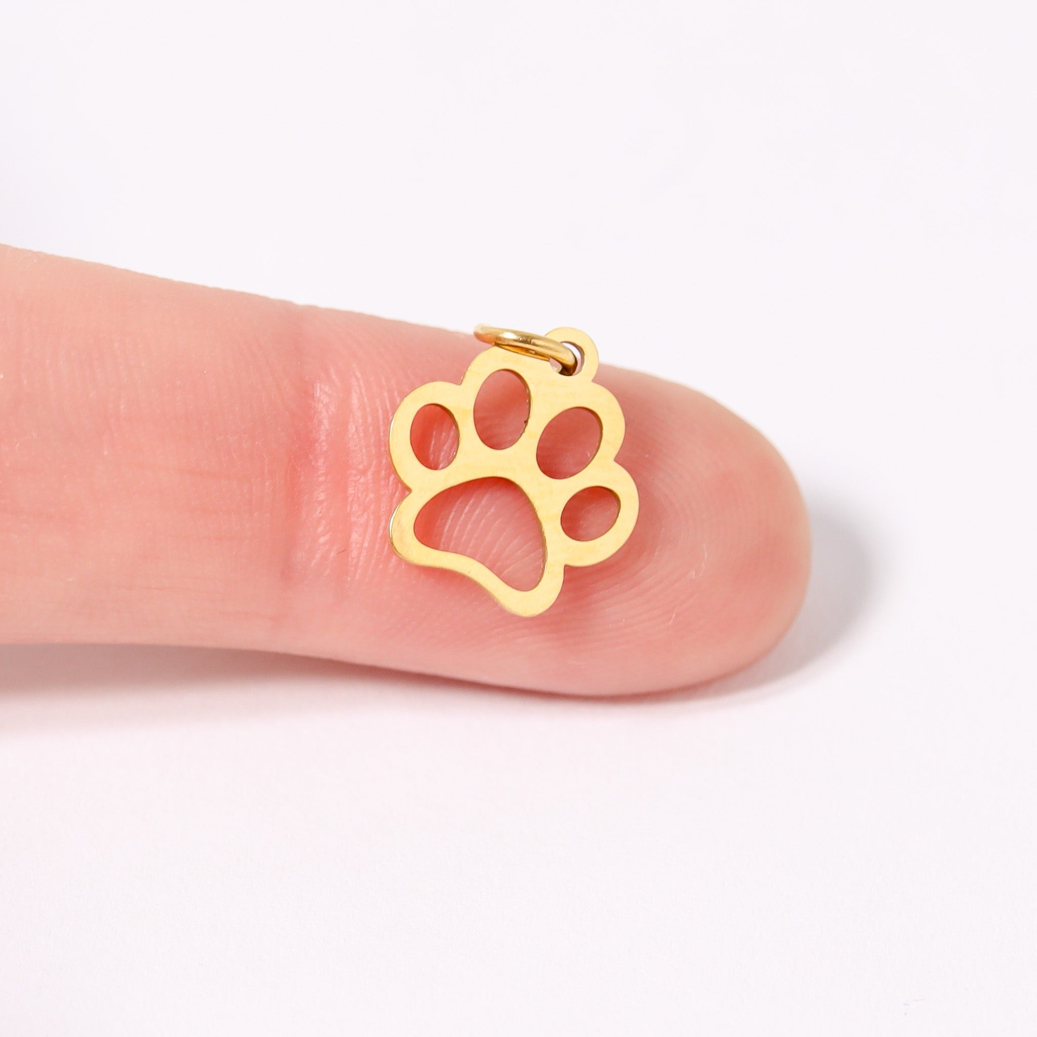 Marked by Magic Paw Print Charm