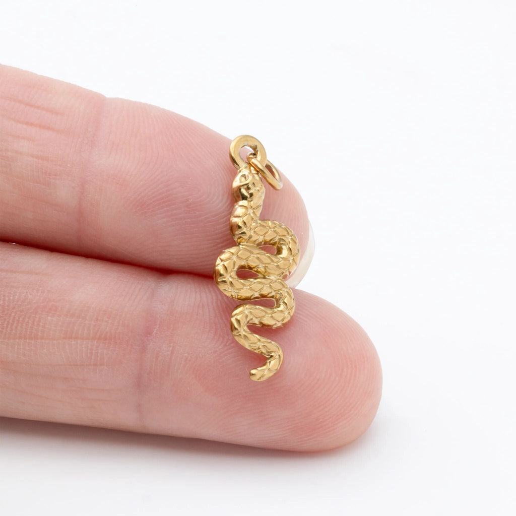 The Serpent's Secret
